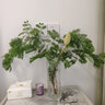 野兽派（THE BEAST）Jungle巴黎周末香薰蜡烛礼盒室内香薰新婚礼物生日礼物 实拍图