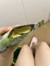 茶颜悦色鲜奶脆脆条 奶香浓郁酥脆解馋休闲零食20g/袋 共160g 实拍图