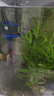 森森鱼缸增氧泵水族箱氧气泵LQE-100家用小型充氧泵4W单孔+全套配件 实拍图