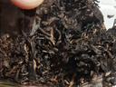 下关沱茶 茶叶 普洱茶 普洱生茶 易武茶区 2023年 兰花香御贡青饼 357g/饼 实拍图