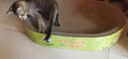 【京东快递】猫抓板猫窝一体式耐磨不掉屑超大可睡觉瓦楞纸磨爪板 椭圆60*42*9【30斤内送猫薄荷】 实拍图