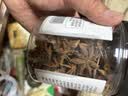 川珍八角90g罐装 广西大料茴香 香辛料 烧炖卤肉调味料佐料火锅底料 实拍图