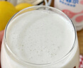 简爱开菲尔家庭装大桶酸奶 凤梨椰子味760g*1瓶 13种复合菌 乳酸菌 实拍图