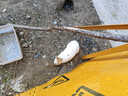 良品铺子香葱肉松手撕面包800g早餐面包出游点心休闲学生零食囤货下午茶 实拍图