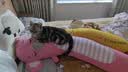 舒宠（sheepet）抱抱枕夹腿枕抱睡枕毛绒玩具大公仔女生舒睡枕趴睡枕情人生日礼物 大号考拉抱枕【可拆洗】长1米 实拍图