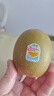 佳沛（zespri）新西兰阳光金奇异果10粒巨大果单果146-175g 猕猴桃水果礼盒 实拍图