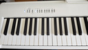 罗兰（Roland）电钢琴FP30X 重锤便携式成人儿童初学者入门数码钢琴 FP30X白色主机+单踏板 实拍图