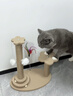 HELLOJOY猫抓板猫爬架一体耐磨不掉屑剑麻抓柱耐抓逗猫棒猫咪玩具自嗨解闷 实拍图