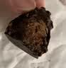 歌帝梵（Godiva）臻粹榛仁果仁巧克力 12颗120g 休闲零食 生日礼物 伴手礼 喜糖 实拍图