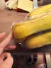 长黄瓜约600g 实拍图