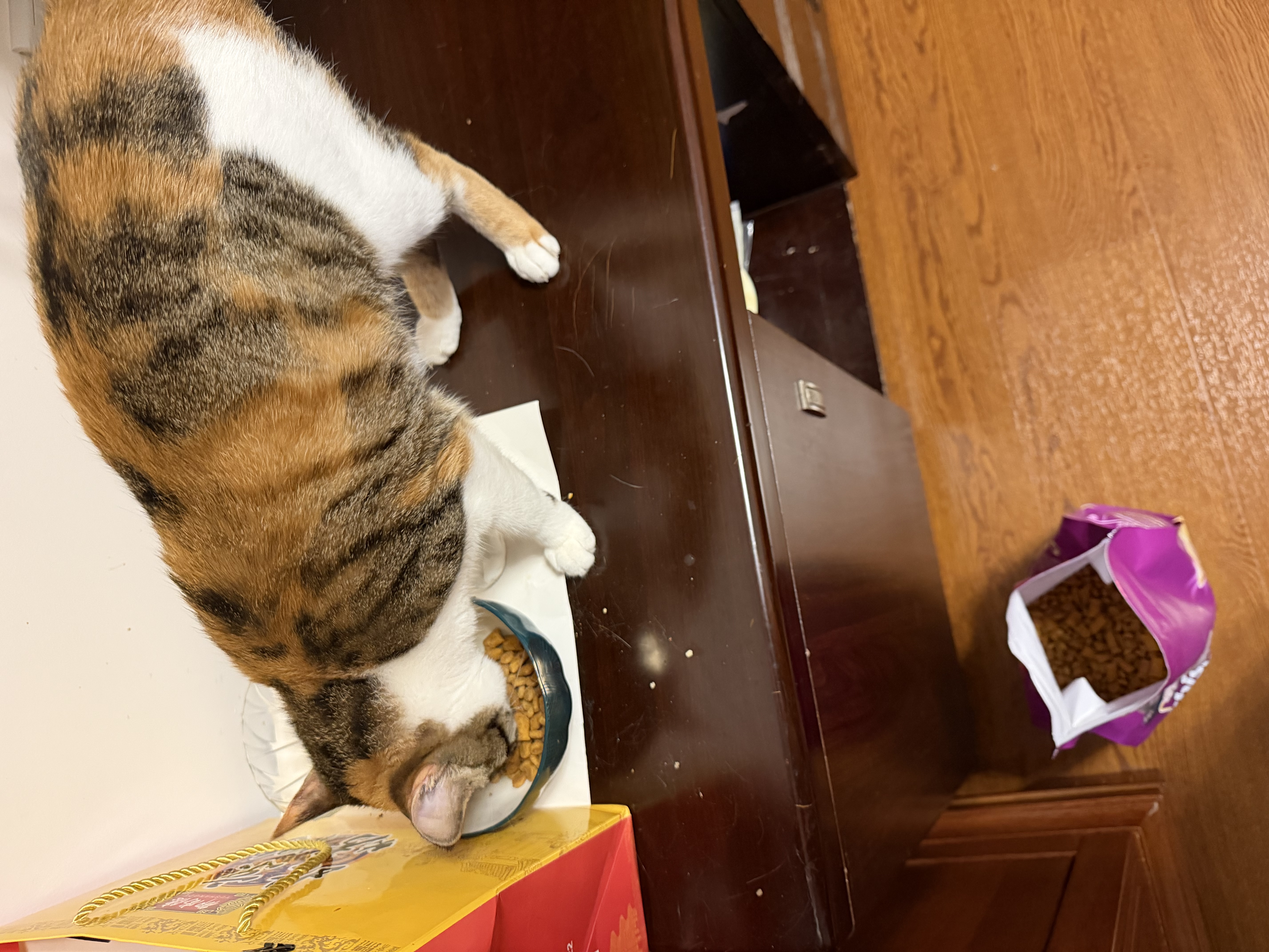 伟嘉猫粮成猫 金装升级营养加油站2kg海洋鱼4包 8kg 实拍图