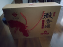 徽香源符离集烧鸡土麻鸡2只装礼盒 1300g/盒端午送礼熟食腊味即食非扒鸡 实拍图