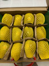 佳沛（zespri）新西兰 金果12粒特大果单果124-146g 端午节礼物水果礼盒 猕猴桃 实拍图