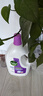 滴露（Dettol）衣物除菌液薰衣草3L杀菌99.9%除螨 内衣香氛衣物消毒液可配洗衣液 实拍图