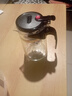 飘逸壶泡茶壶耐热高温玻璃沏茶过滤内胆冲茶器家用茶具套装 飘逸杯500mL1个 实拍图
