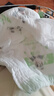 祺安熊猫乳木果油婴儿护臀拉拉裤4XL码27片超薄【品牌直供 安心品质】 实拍图