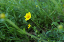 松下S5M2（20-60mm F3.5-5.6）（Panasonic）S5二代 全画幅微单相机 约2420万有效像素 新相位混合对焦 实拍图