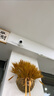 普联（TP-LINK）400万监控摄像头家用监控器360度无死角带夜视全景无线家庭室内手机远程婴儿宝宝监护器 实拍图