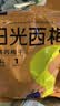 食味的初相 阳光西梅无核西梅干无添加剂无糖精加州大西梅孕妇零食 无核西梅干500g【家庭装】 实拍图
