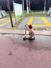斯威（SWAY） 滑板车儿童 2-3-6-10-15岁宝宝大童滑滑车闪光轮折叠小孩踏板车 月光蓝-加宽闪光大轮+高度可调 实拍图