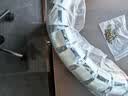 捷诺立（JNL）蛇形穿线管 办公桌走线管藏线管会议桌走线槽穿线软管 银色圆形【常规桌适用】 实拍图
