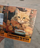 金猫西梅益生元浓萃咖啡液25g*10罐1盒100%阿拉比卡咖啡豆 实拍图