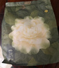 babycare山茶花一次性内裤女孕产妇日抛待产出差旅行XL码15条【安全灭菌】 实拍图