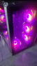 华硕锐龙9800X3D主机RTX5070Ti/5080/5090主机 千帧电竞rog全家桶 9850X3D主机游戏台式机组装电脑整机 锐龙7 9800X3D+RTX5080 丨配置五 晒单实拍图
