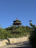 京东京造收纳袋搬家袋打包被子行李袋子衣服衣物编织袋 大号108升 3只装 实拍图