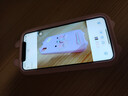 Apple 苹果 iPhone 17/16/15/14/13/12/11/X系列二手手机 规格见质检报告 苹果 iPhone XR 实拍图