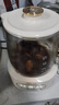 小熊（Bear）【价保618】全玻璃养生壶 纯玻璃煮茶壶恒温壶 多功能炖煮花茶壶烧水壶 1.5L YSH-H15L2 实拍图