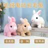 Honey Joy仿真毛绒儿童玩具兔兔会走会叫电动宠物白色兔子礼物 实拍图