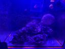 巨奇皮衣护理保养油真皮沙发清洁皮衣具座椅护理剂汽车内饰保养膏250g 实拍图