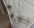 洁丽雅（Grace）100%棉新疆棉床垫褥宿舍垫被可折叠加厚软垫1.8米 实拍图