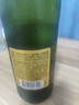 京东京造热销50万箱+ 德式小麦全麦精酿500ml*12啤酒整箱白啤浓郁麦香 实拍图