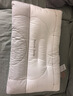 水星家纺枕头荞麦决明子护颈硬枕头芯人体工学舒缓颈椎家用一对抗菌中枕 实拍图