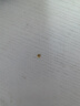 御邪足金999光面算盘珠隔断珠黄金垫片DIY手串手链金配饰 算盘珠:约0.06g两颗 实拍图