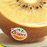 佳沛（zespri）新西兰金果10粒巨大果单果146-175g 端午节礼物水果礼盒 猕猴桃 实拍图