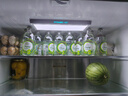 泰象（Chang）泰国原装进口苏打水 青柠味325ml*24瓶 整箱 苏打气泡水 实拍图
