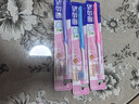 狮王(lion)细齿洁0.01精巧牙刷4支软毛成年人牙龈护理刷头小巧 实拍图