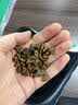凯锐思 贵宾泰迪狗粮 小型犬粮成幼犬通用型天然奶糕宠物狗粮囤货装 【助益免疫】贵宾幼犬专用 2kg 实拍图