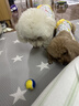 贵为（GiGwi）狗玩具高弹发声网球磨牙耐咬中小型犬玩具球幼犬宠物玩具球4只装 实拍图