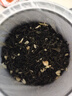印象堂花茶新茶 茉莉川派飘雪特级浓香型冷泡茉莉花茶罐装川派窨制茶叶 6A特级【鲜香耐泡】250g*1罐 实拍图