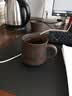 福东顺 茶叶 普洱茶云南勐海宫廷普洱熟茶散茶口粮茶大份量袋装500g 实拍图