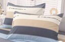 艾薇 A类枕头套纯棉家用全棉单人枕套一对枕芯套 罗马时代 48*74cm 实拍图