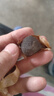 云山半独头黑蒜250g 山东特产金乡紫皮黑大蒜头 即食煲汤 深度发酵 实拍图