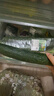 长黄瓜约600g 实拍图