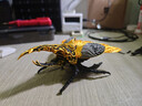 拓竹硬化钢不锈钢热端喷嘴【X2D/P2S/H2D/H2C/H2S】0.2/0.4/0.6/0.8mm 标准流量快拆喷头3D打印机配件 0.2mm 不锈钢热端【精细打印】 实拍图