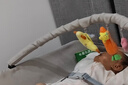 奕思瑞婴儿防惊跳手握胡萝卜新生儿安抚玩具宝宝可啃咬毛绒玩偶哄睡神器 实拍图
