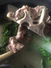 科尔沁 国产原切牛脖骨2斤 炖煮食材 牛肉生鲜【真原切】 实拍图